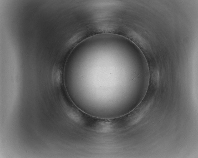 X0000111510071200907211212