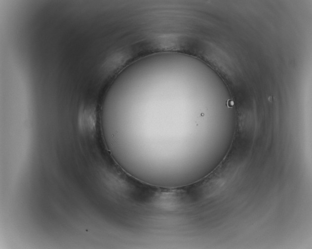 X0000111510072200907211212
