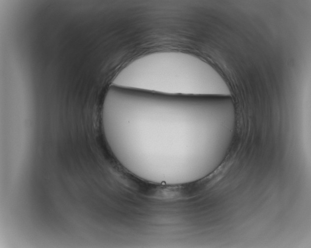 X0000111510078200907211212