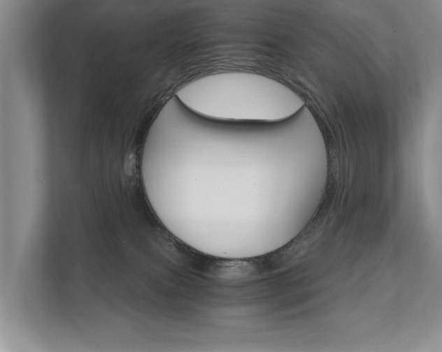 X0000111510087200907211212