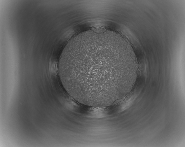 X0000111510093200907211212