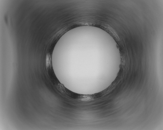 X0000111510095200907211212