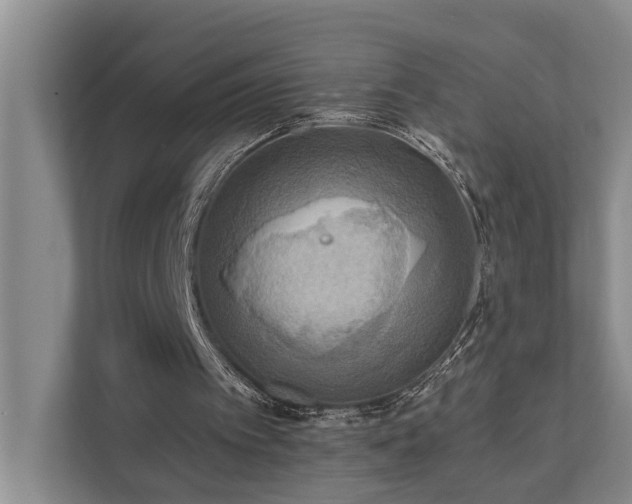 X0000111510097200907211212