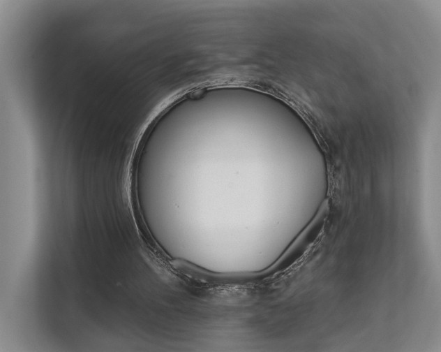 X0000111510100200907211212