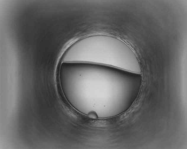 X0000111510104200907211212