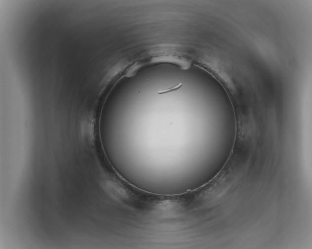 X0000111510111200907211212