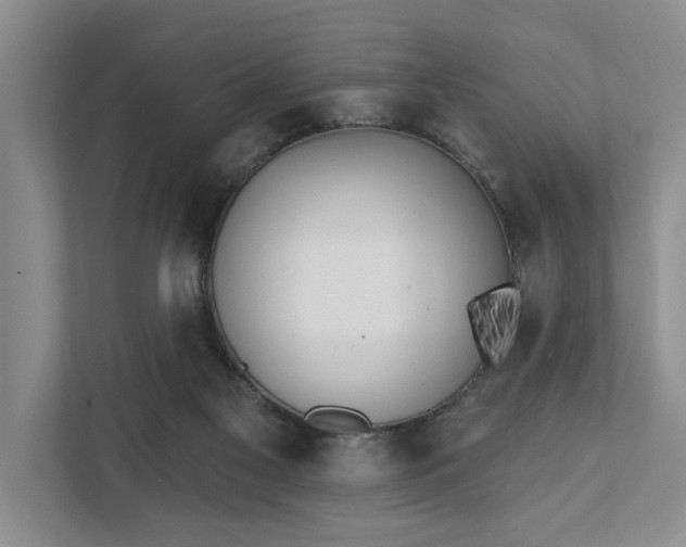 X0000111510117200907211212