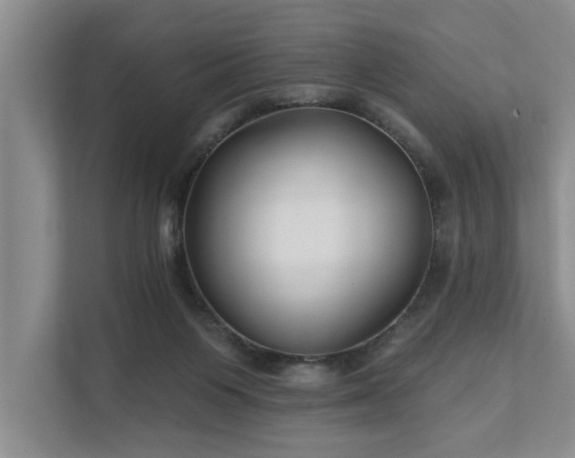 X0000111510119200907211212