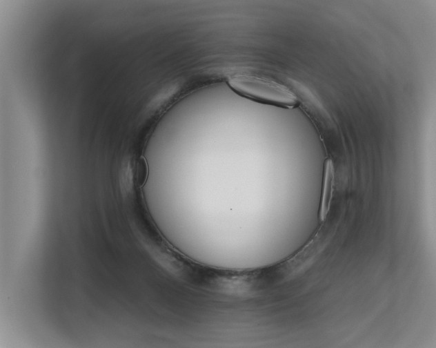 X0000111510120200907211212