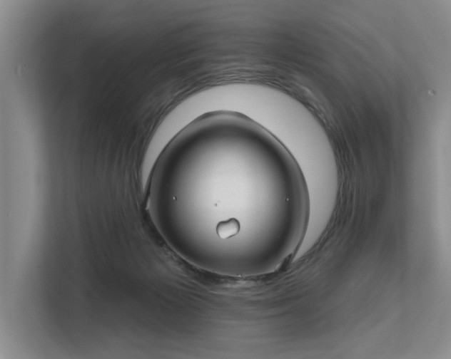 X0000111510125200907211211