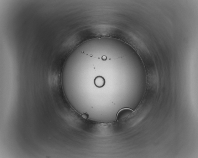X0000111510126200907211211