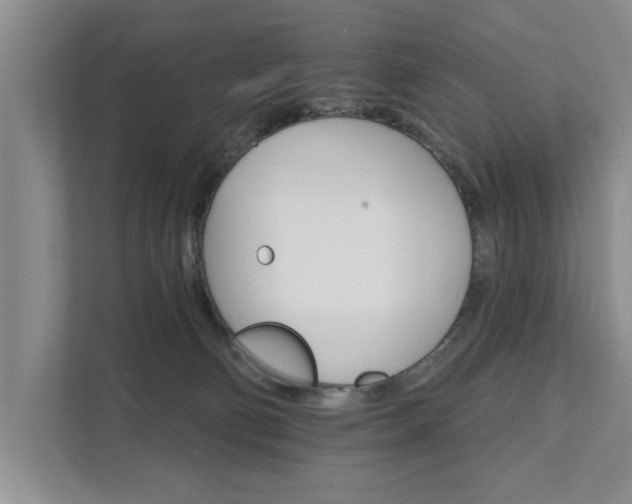 X0000111510130200907211211