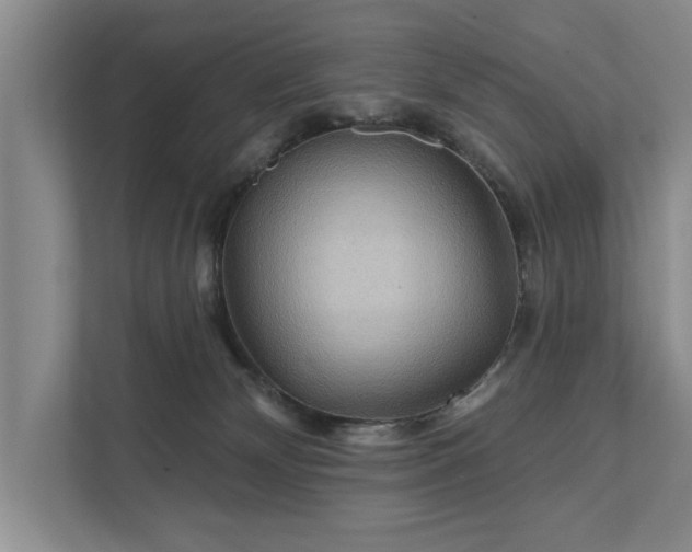 X0000111510132200907211211