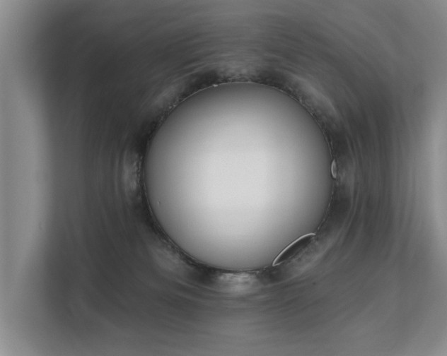 X0000111510133200907211211