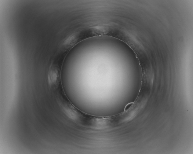 X0000111510134200907211211