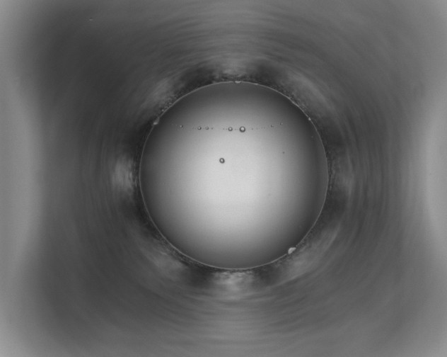 X0000111510135200907211211
