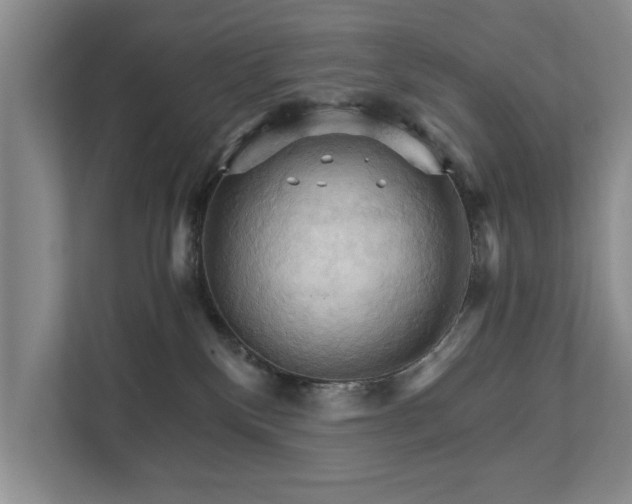 X0000111510136200907211211