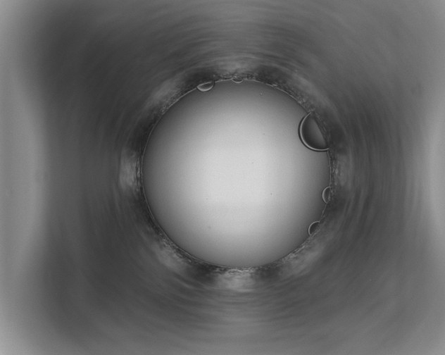 X0000111510138200907211211
