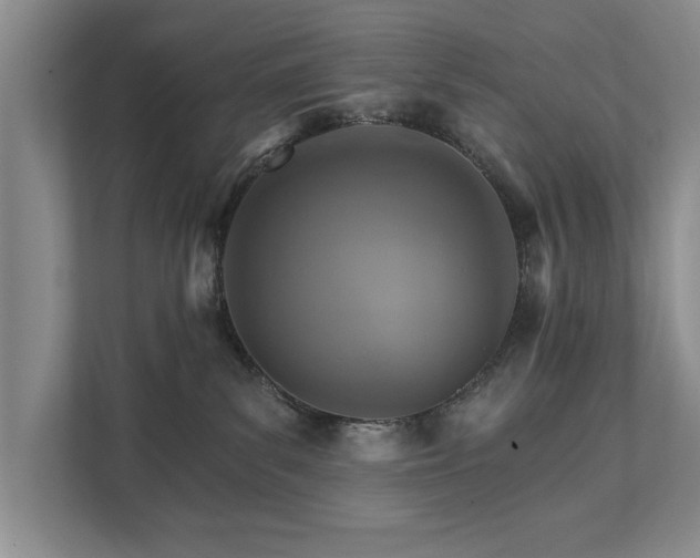 X0000111510139200907211211
