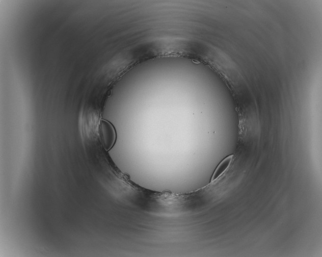 X0000111510142200907211211