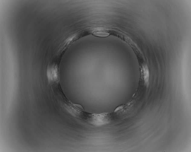 X0000111510143200907211211