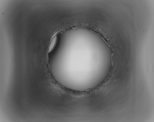 X0000111510144200907211211