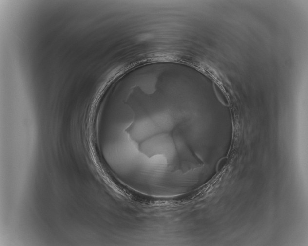 X0000111510145200907211210