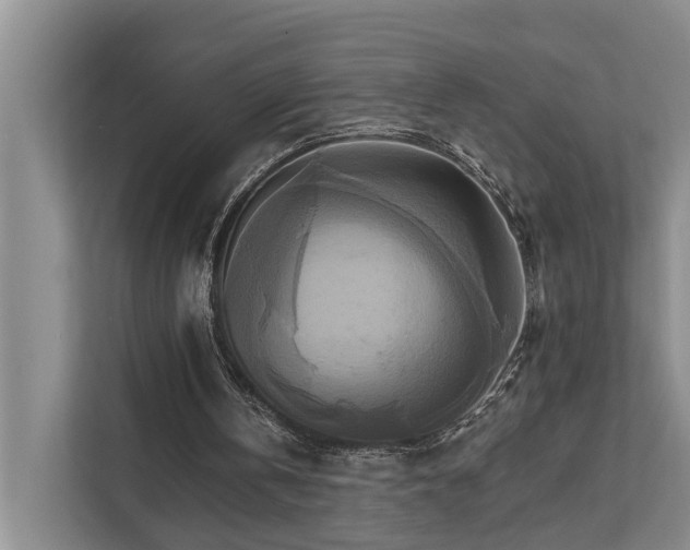 X0000111510146200907211210