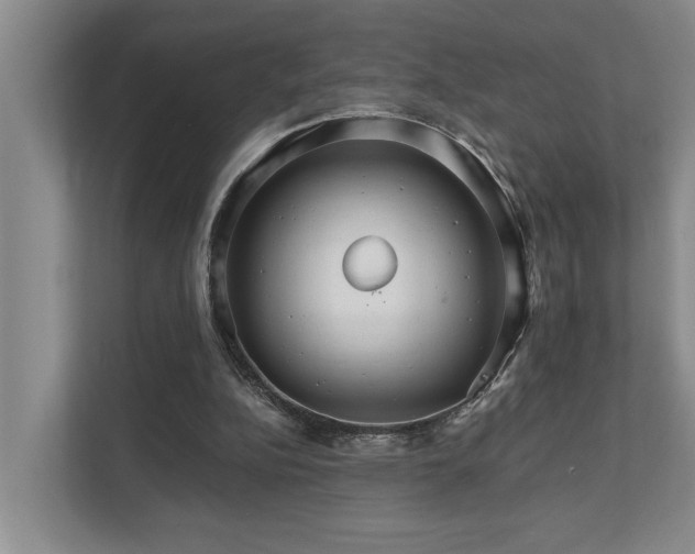 X0000111510152200907211210