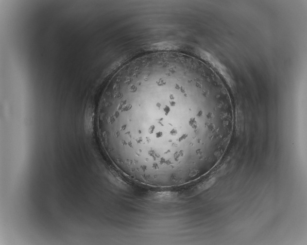 X0000111510153200907211210