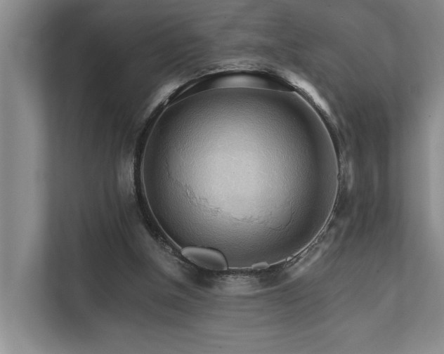 X0000111510154200907211210