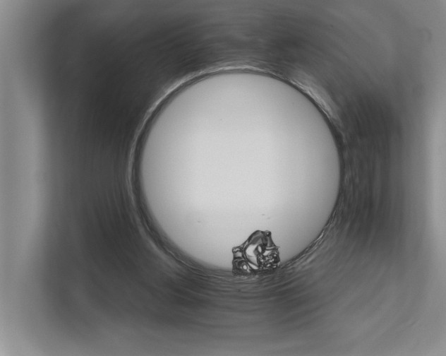 X0000111510156200907211211