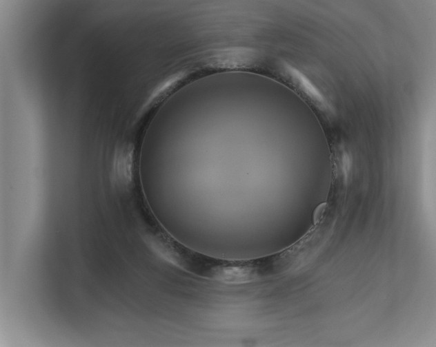 X0000111510163200907211211