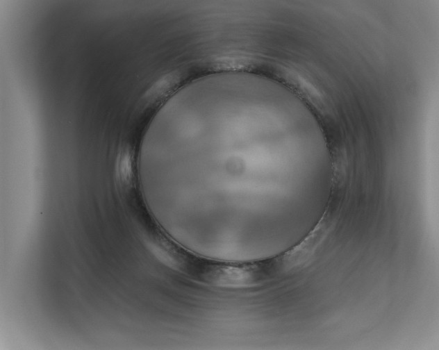X0000111510166200907211211