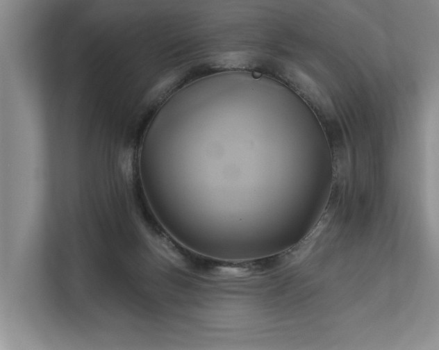 X0000111510167200907211211