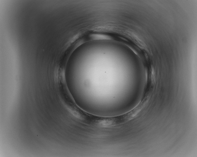 X0000111510168200907211211