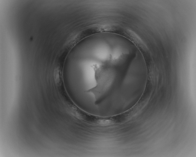 X0000111510169200907211211