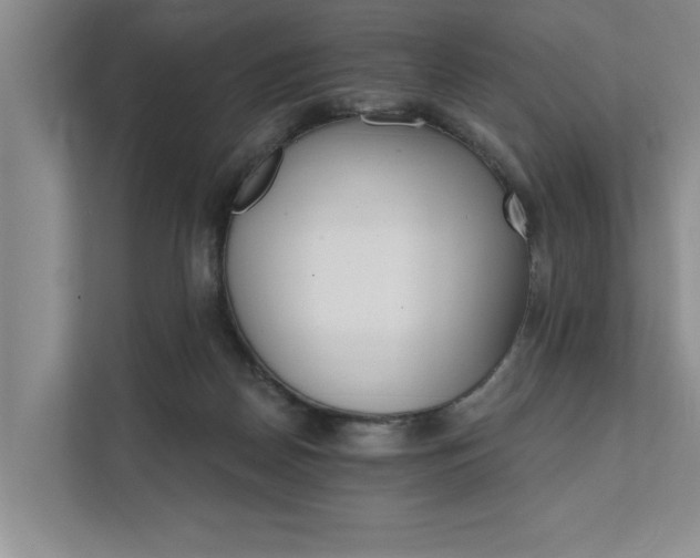 X0000111510170200907211211