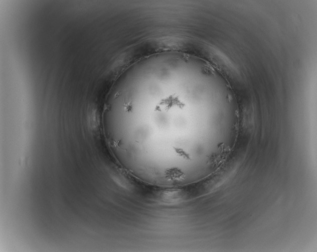 X0000111510173200907211211