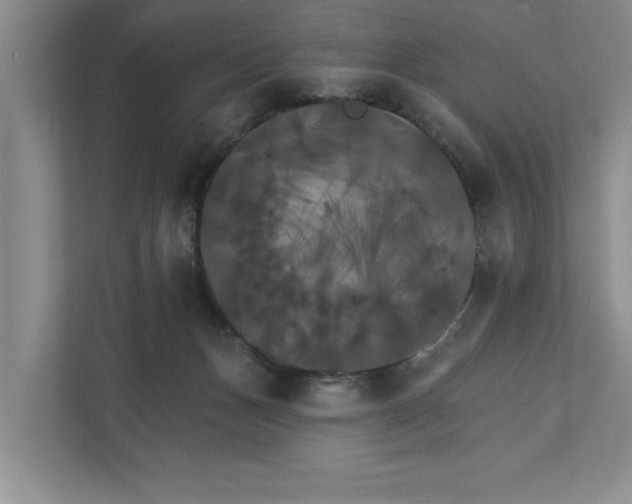 X0000111510175200907211211