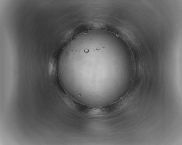 X0000111510177200907211211