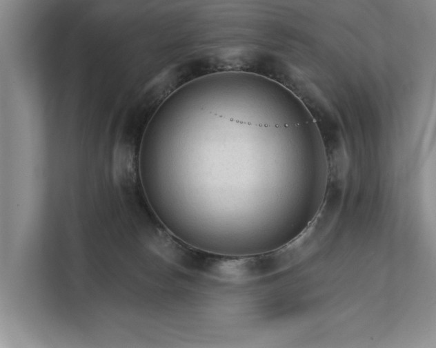 X0000111510178200907211211