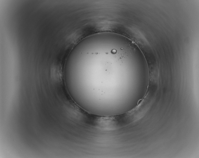 X0000111510179200907211211