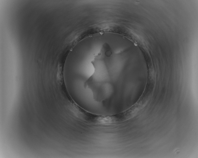 X0000111510181200907211211