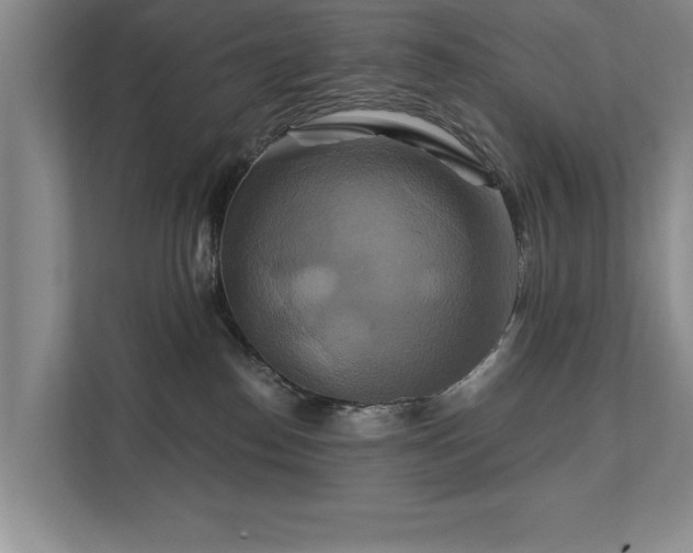 X0000111510186200907211211
