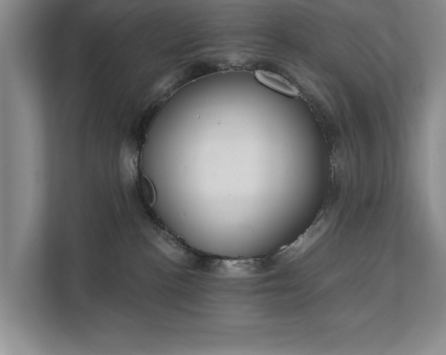 X0000111510188200907211211
