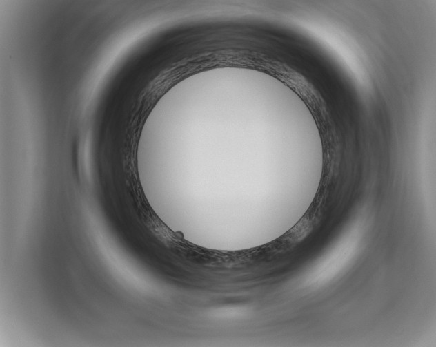 X0000111510189200907211211