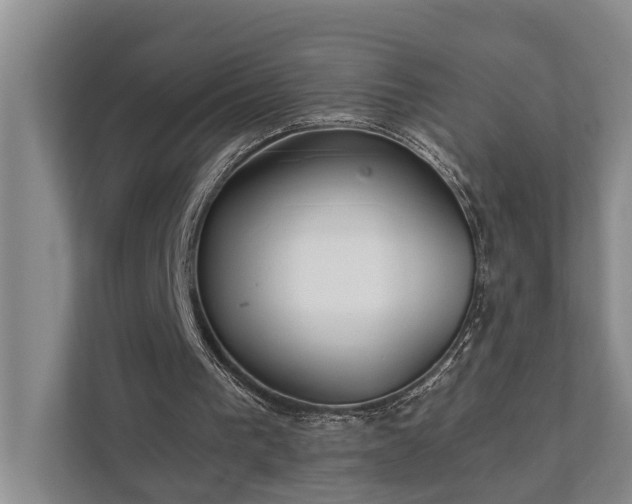 X0000111510193200907211210