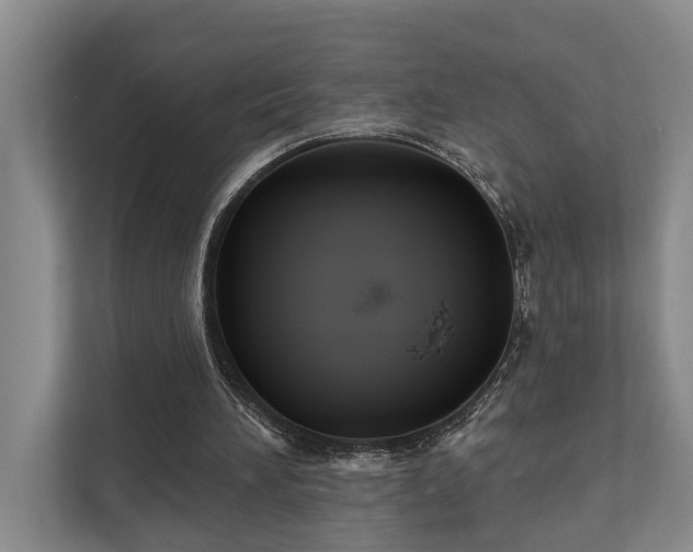 X0000111510196200907211210