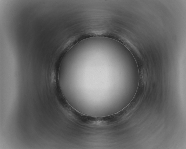 X0000111510212200907211210